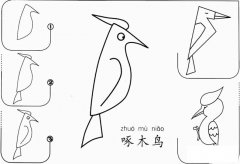 啄木鸟怎么画简笔画
