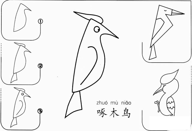 【啄木鸟怎么画】啄木鸟怎么画简笔画步骤图教程