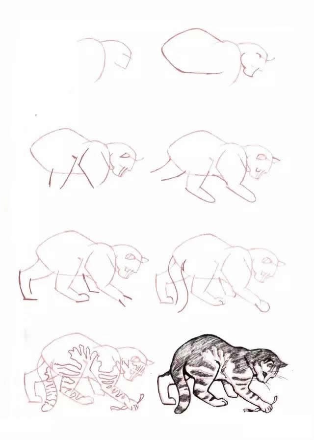 10种不同的小猫咪画法大全