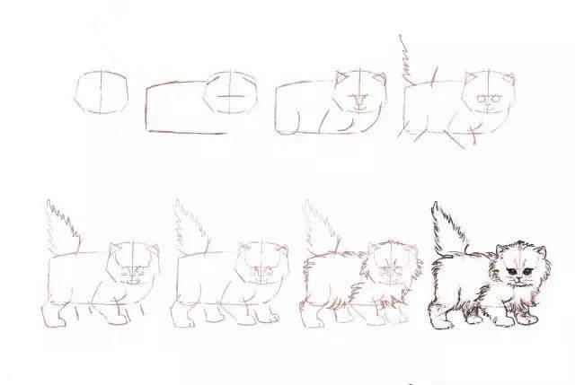 10种不同的小猫咪画法大全