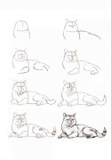 10种不同的小猫咪画法大全