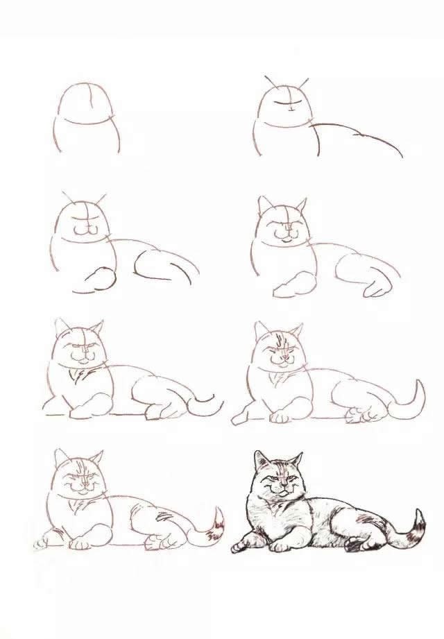 10种不同的小猫咪画法大全
