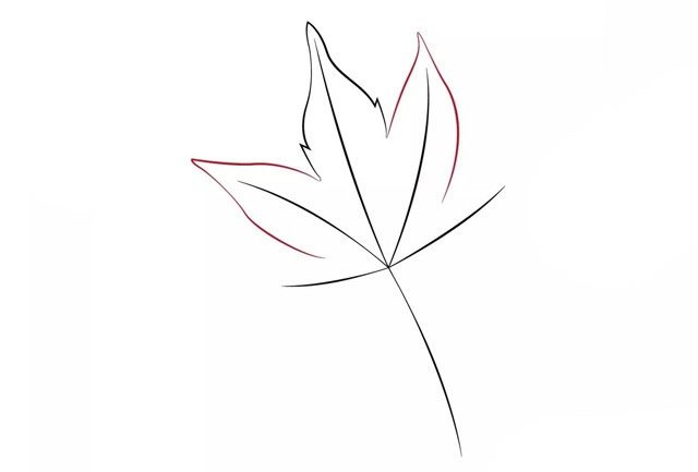 秋天枫叶简笔画