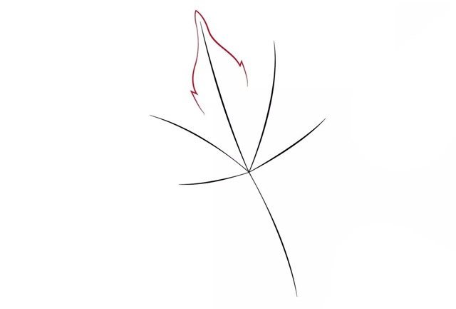 秋天枫叶简笔画
