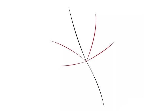 秋天枫叶简笔画