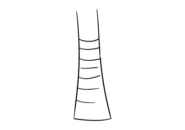椰子树简笔画