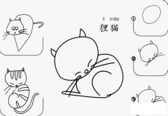 狸猫怎么画简笔画