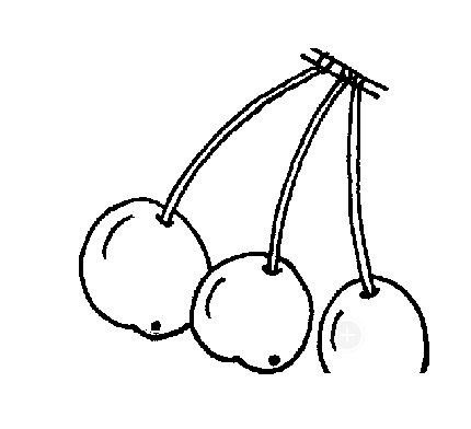 樱桃简笔画