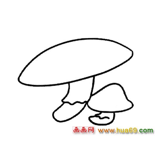 植物简笔画：平菇2