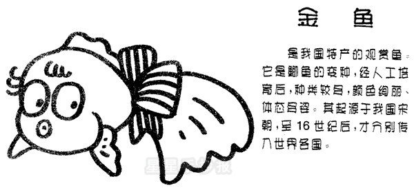 金鱼简笔画