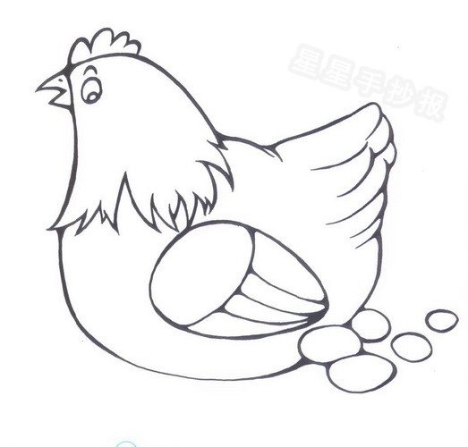 母鸡生蛋简笔画图片