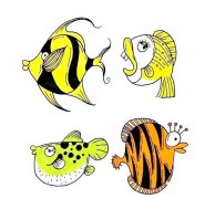12种海洋鱼类简笔画画法彩色