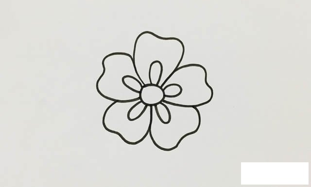 五瓣花简笔画画法步骤图片