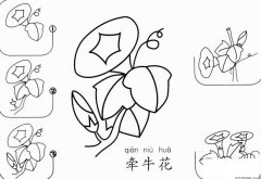 简单的牵牛花怎么画简笔画