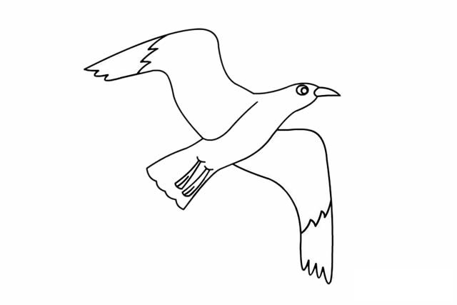 海鸥简笔画 漂亮的海鸥简笔画步骤画法图片大全
