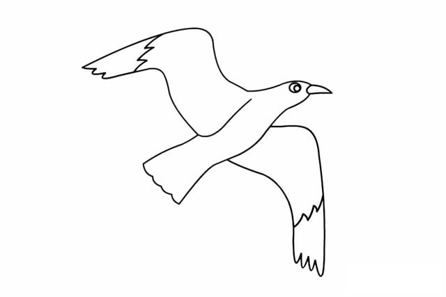 海鸥简笔画 漂亮的海鸥简笔画步骤画法图片大全