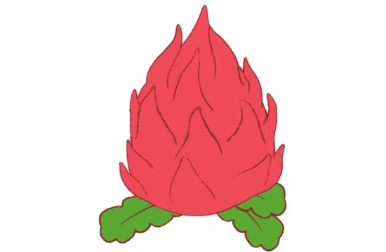 火龙果简笔画图片