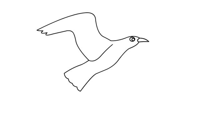 海鸥简笔画 漂亮的海鸥简笔画步骤画法图片大全