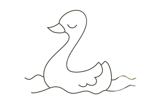 天鹅简笔画