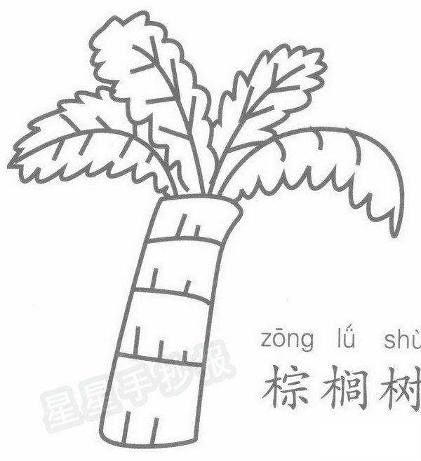 棕榈树简笔画