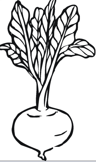 拔萝卜简笔画