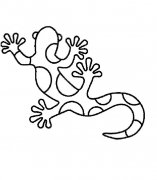 壁虎动物简笔画步骤图片大全