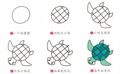小海龟动物简笔画步骤图片大全
