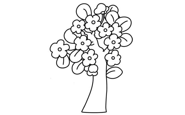 桃花树植物花简笔画步骤图片大全