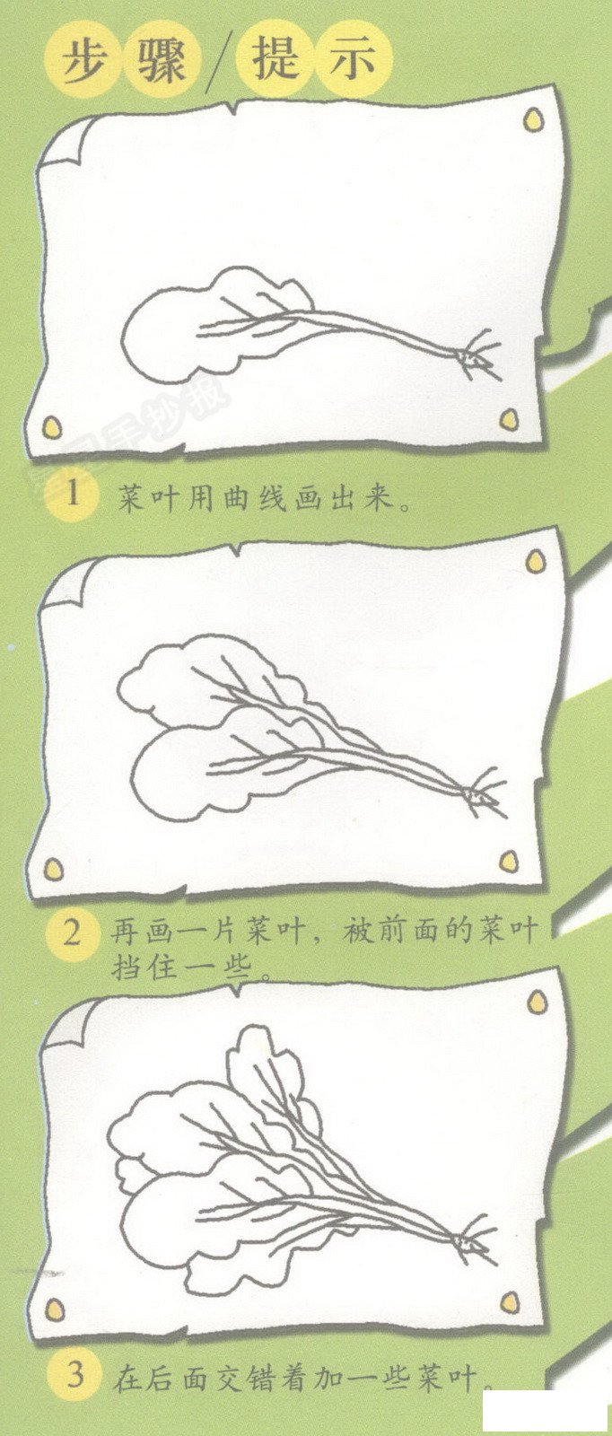 青菜简笔画图片