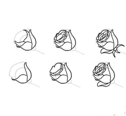 简笔画玫瑰花怎么画的具体画法步骤图片教程