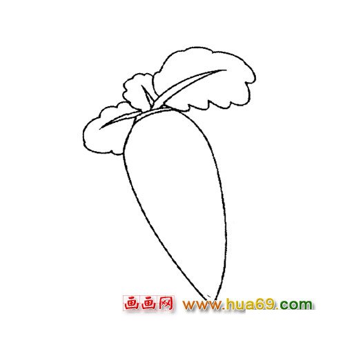 蔬菜简笔画│萝卜4
