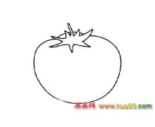 漂亮的西红柿简笔画3