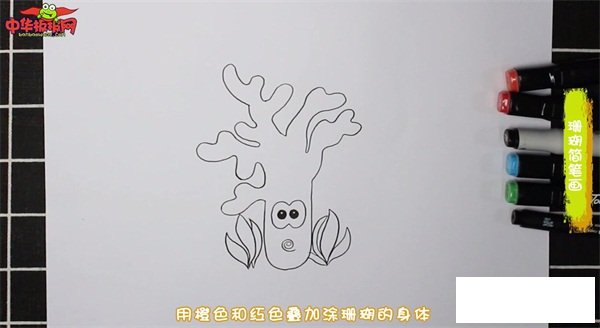 珊瑚简笔画