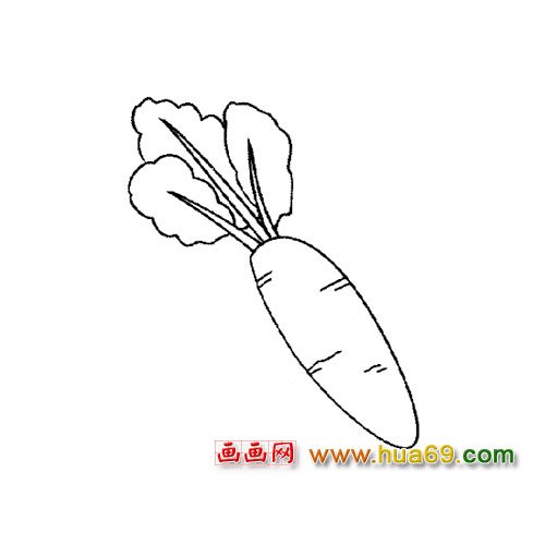 细长的萝卜简笔画5