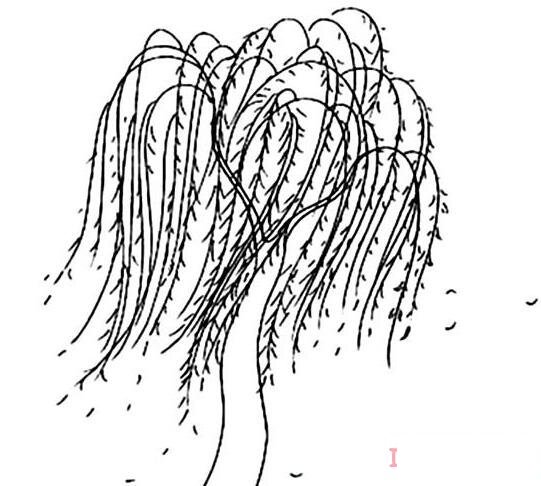柳树飘扬画法简笔画教程简单好看