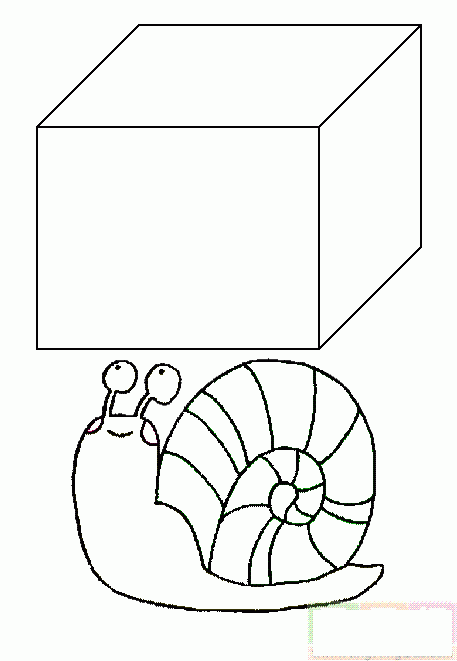 正方体和蜗牛简笔画
