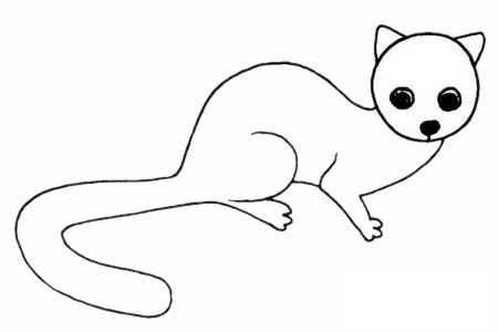 灵猫简笔画图片