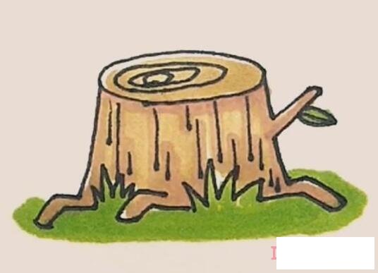 带颜色树桩的画法步骤图 树桩简笔画图片