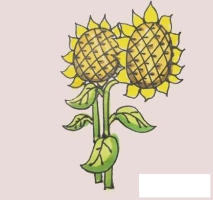 向日葵简笔画