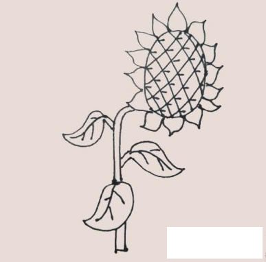 向日葵简笔画