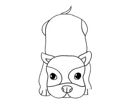 斗牛犬简笔画图片