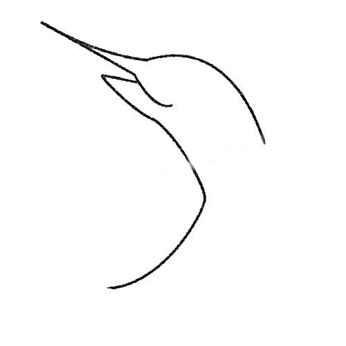 剑鱼简笔画