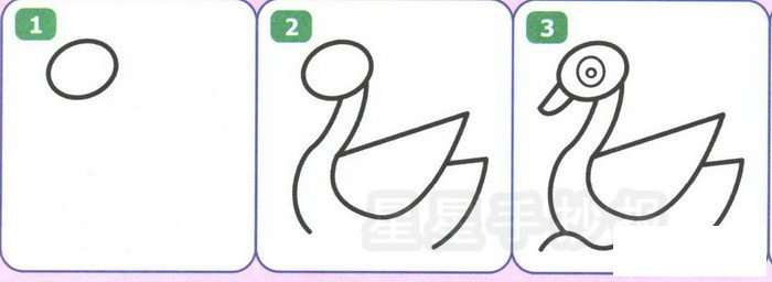 天鹅简笔画