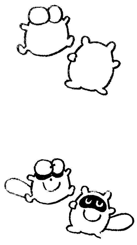 浣熊简笔画