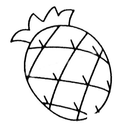 菠萝简笔画大全及画法步骤