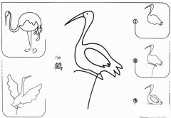 幼儿丹顶鹤简笔画的画法