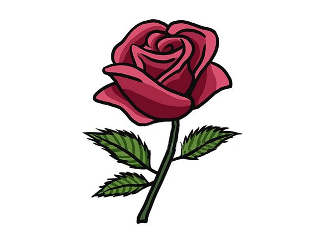 漂亮的红玫瑰简笔画图片_玫瑰花的简单画法