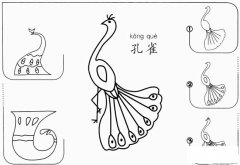 怎么画孔雀简笔画的步骤图教程
