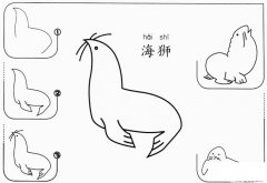 儿童卡通海象海狮简笔画怎么画