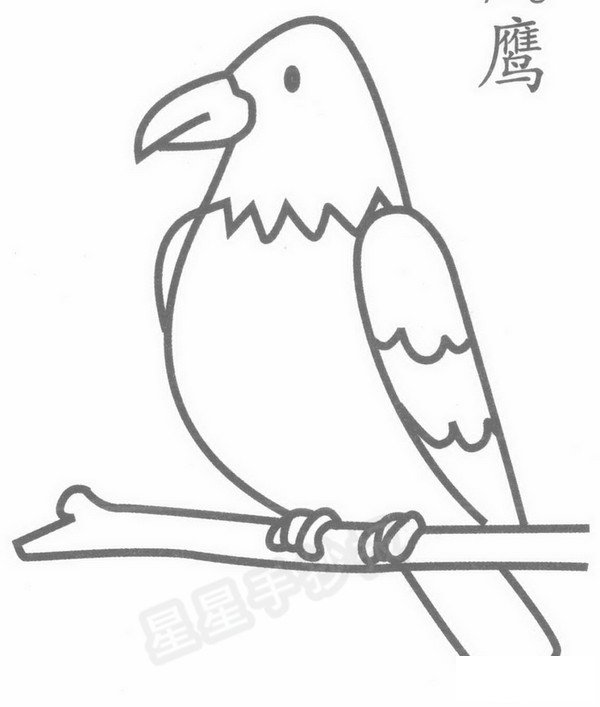 老鹰简笔画